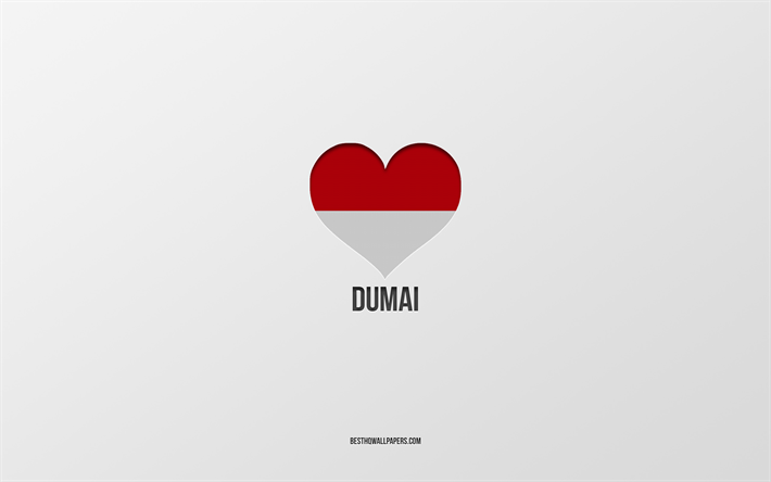 Dumai&#39;yi Seviyorum, Endonezya şehirleri, Dumai G&#252;n&#252;, gri arka plan, Dumai, Endonezya, Endonezya bayrağı kalp, favori şehirler, Aşk Dumai