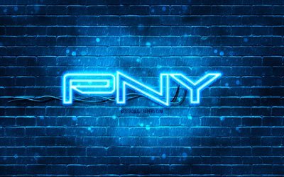 PNY blue logo, 4k, blue brickwall, PNY logo, brands, PNY neon logo, PNY
