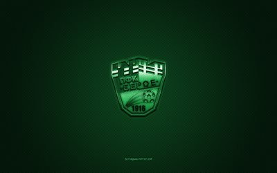 PFC Beroe Stara Zagora, Bulgarian football club, green logo, green carbon fiber background, Bulgarian First League, Parva liga, football, Stara Zagora, Bulgaria, PFC Beroe Stara Zagora logo