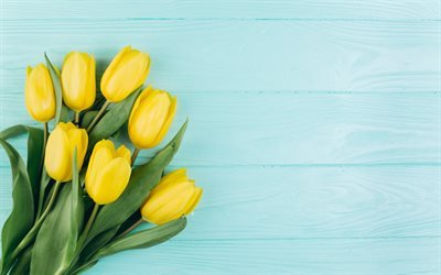 keltainen tulppaanit, kev&#228;&#228;n kukat, keltainen kev&#228;&#228;ll&#228; kukat, tulppaanit