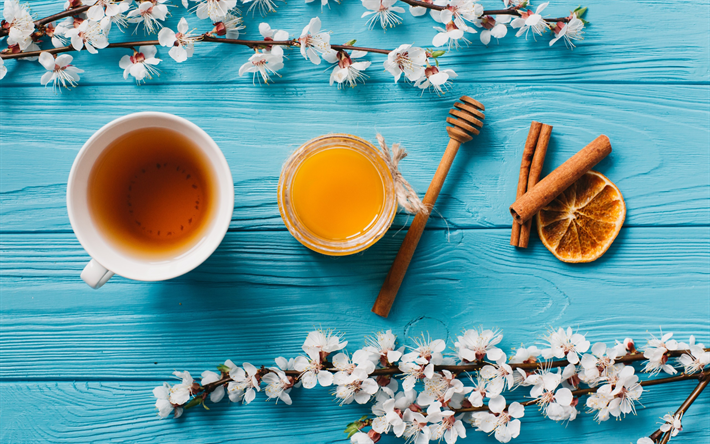 الربيع الديكور, العسل, الشاي, زهر الكرز, زهور الربيع, الكرز فرع