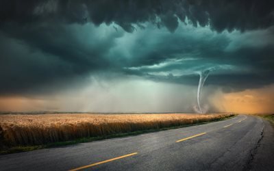 tornado, natural cataclysms, wheat field, dangerous natural phenomena, atmospheric vortex