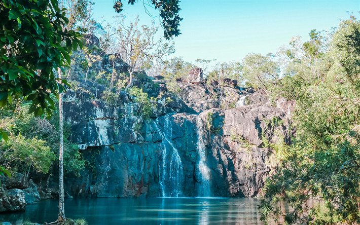 Cedar Creek Falls, 4k, djungel, vattenfall, Tamborine National Park, Australien