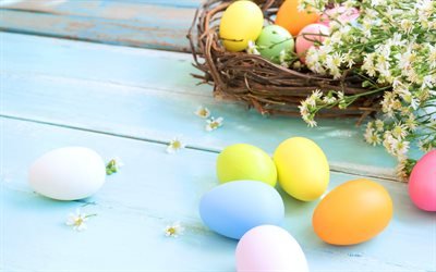 spring, easter eggs, nest, easter decoration, spring flowers, colorful eggs