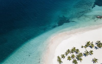 tropical island, luxury beach, white sand, palm trees, deck chairs, waves, ocean