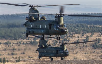 Boeing CH-47 Chinook, Royal Netherlands Air Force, CH-47D, American heavy military transport helicopter, military helicopters