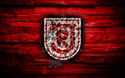 Jahn Regensburg FC, burning logo, Bundesliga 2, red wooden background, german football club, grunge, SSV Jahn Regensburg, football, soccer, Jahn Regensburg logo, fire texture, Germany