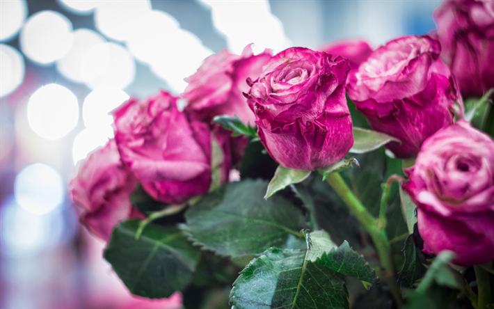 rosas de color rosa, 4k, ramo de rosas, bokeh, rosa flores, rosas, capullos