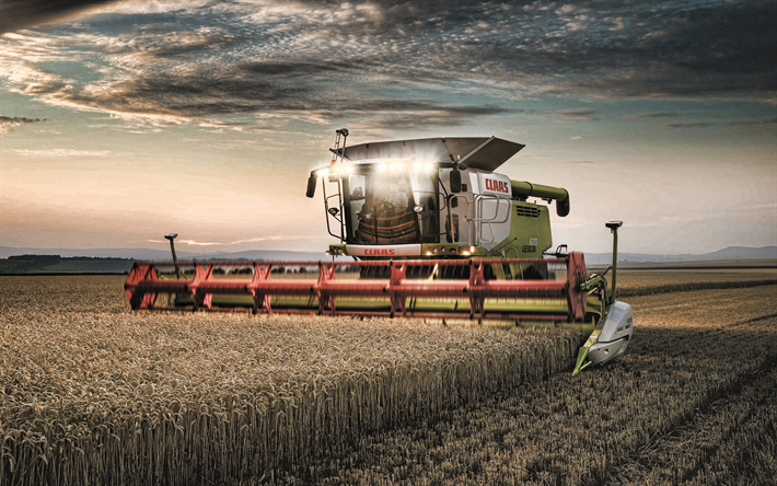 Claas Lexion 670, mietitrebbia, tramonto, di raccolta, di concetti, di combinare in campo di macchine agricole Claas, raccolto di grano