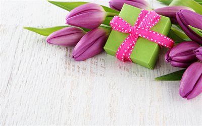 purple tulips, spring flowers, floral background, tulips, green gift, purple silk bow