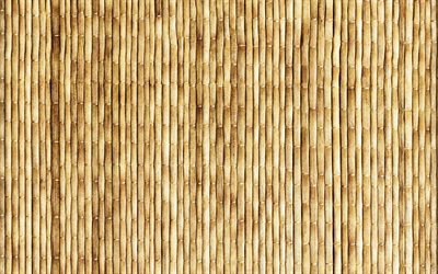 vertical bamboo sticks, close-up, brown bamboo, bamboo canes, bamboo sticks, bambusoideae sticks, bamboo, wooden textures, macro, background with bamboo