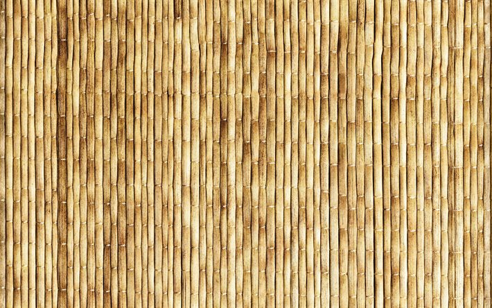 vertical palos de bamb&#250;, close-up, de color marr&#243;n de bamb&#250;, ca&#241;as de bamb&#250;, palos de bamb&#250;, bambusoideae, palitos de bamb&#250;, de madera, texturas, macro, fondo con bamb&#250;