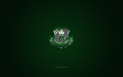 shamrock rovers fc, irischer fu&#223;ballverein, gr&#252;nes logo, gr&#252;ner kohlefaserhintergrund, league of ireland premier division, fu&#223;ball, tallaght, irland, shamrock rovers fc-logo