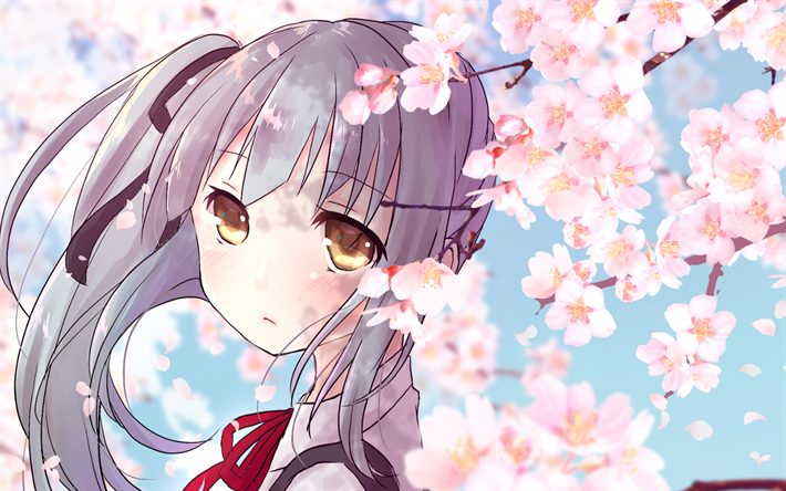 Lucro, de quimono, flor de cerejeira, manga, Kancolle, Kantai Cole&#231;&#227;o, sakura
