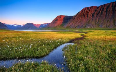 Iceland, mountains, meadow, creek, summer, Europe