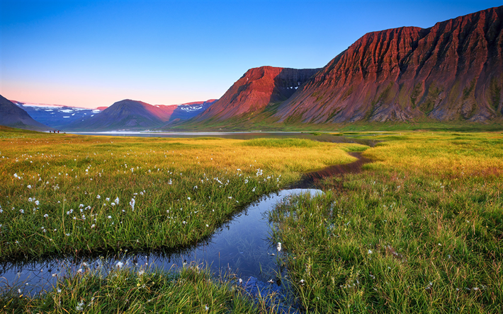 Islandia, monta&#241;a, pradera, arroyo, verano, Europa