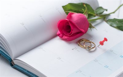 concetti di nozze, rose rosse, gli anelli di nozze, la data del matrimonio concetti, diario, calendario