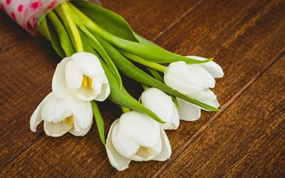 tulipani bianchi, marrone, di legno, primavera, fiori, tulipani