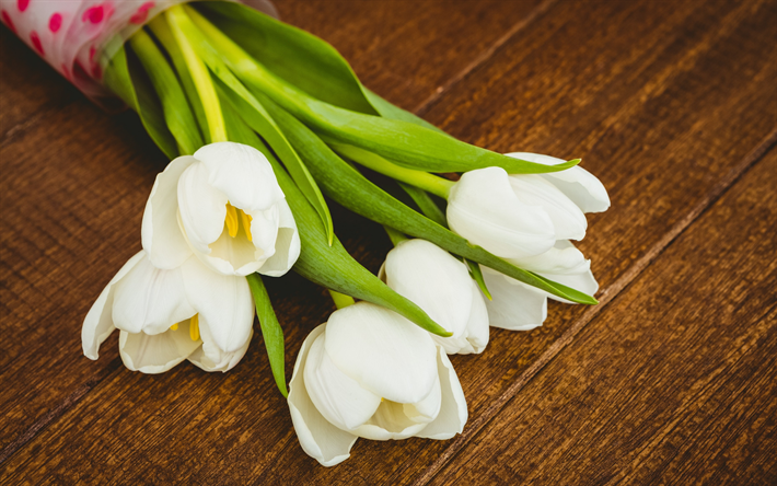 tulipanes blancos, marrones tablas de madera, flores de la primavera, los tulipanes