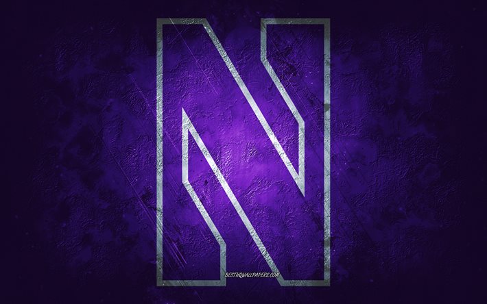 Northwestern Wildcats, Amerikan futbol takımı, mor arka plan, Northwestern Wildcats logosu, grunge art, NCAA, Amerikan futbolu, ABD, Northwestern Wildcats amblemi