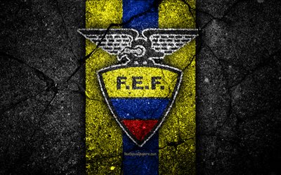 Ecuador national football team, 4k, emblem, grunge, North America, asphalt texture, soccer, Ecuador, logo, South American national teams, black stone, Ecuadorian football team