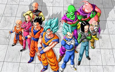 Dragon Ball, Android 17, Android-18, Goku, Gohan, Krillin, Master Roshi, Majin Buu, Pieni, Tien Shinhan, Vegeta, Dragon Ball Super, DBS