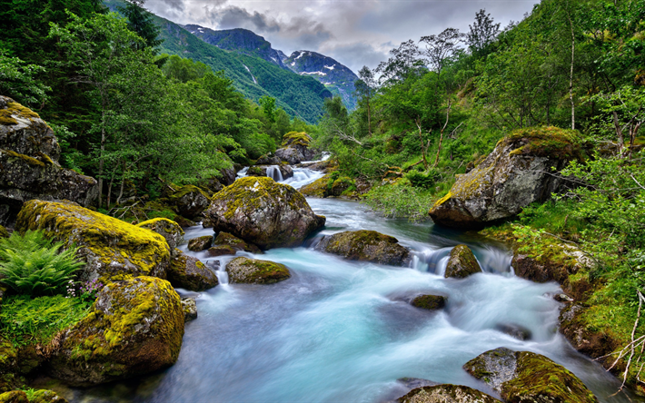 fiume di montagna, bellissimo paesaggio di montagna, foresta, alberi verdi, estate, Norvegia