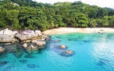 Seychelles, Oceano, spiaggia, palme, estivo, Oceano Indiano