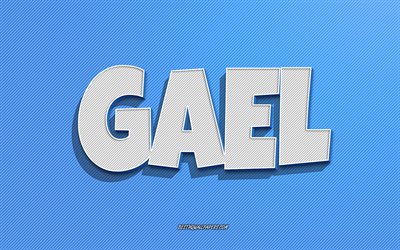 Gael, fond de lignes bleues, fonds d&#39;&#233;cran avec des noms, nom Gael, noms masculins, carte de voeux Gael, dessin au trait, photo avec le nom Gael