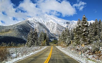 USA, winter, american nature, forest, road, HDR, winter landscapes, beautiful nature, America