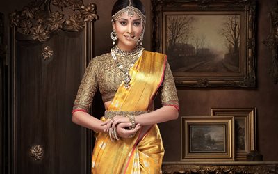 Shriya Saran, sesi&#243;n de fotos, la actriz India, Bollywood, tradicional de la India de vestir, joyas, India