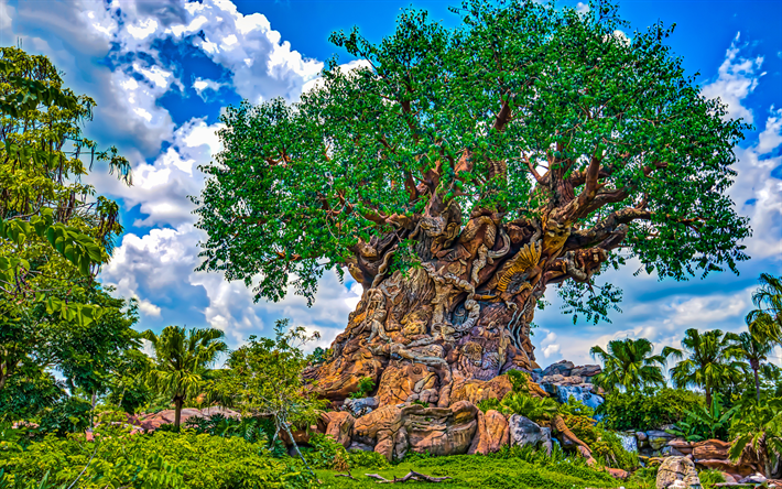 Tree of Life, park, Disneys Animal Kingdom, HDR, USA, Florida, America