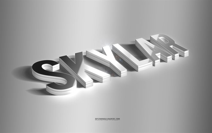 Skylar, art 3D argent&#233;, fond gris, fonds d’&#233;cran avec noms, nom Skylar, carte de vœux Skylar, art 3D, image avec nom Skylar