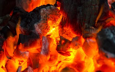 palavat hiilet, makro, kytev&#228;t hiilit, kokko, palava puu, tuli, hiili, palorakenteet, polttavat hiilirakenteet, tausta polttavilla hiileill&#228;