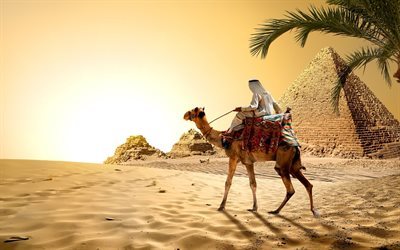 deserto, piramidi di Egitto, Beduino, il Cairo, sabbia
