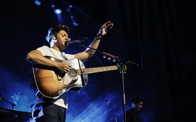 Niall Horan, 4k, Irish singer, concert, musicians