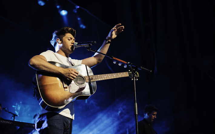 Niall Horan, 4k, Irish singer, concert, musicians