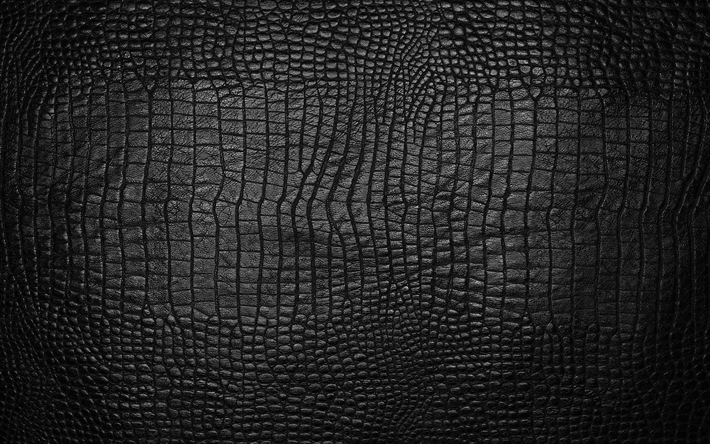 svart krokodilskinn, 4k, reptil hud, svart leathe konsistens, crocodile hud texturer, svart orm, makro, l&#228;der bakgrund, krokodilskinn