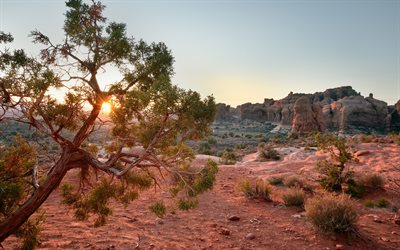 砂漠, 夜, 夕日, 赤い岩, 山の風景, ユタ, 米国