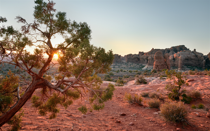 desert, illalla, sunset, red rocks, mountain maisema, Utah, USA