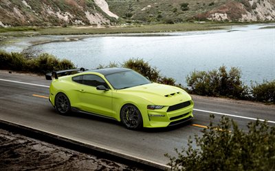 2019, Ford Mustang Revenge GT, front view, green sports coupe, Mustang tuning, American sports cars, Mustang GT, Ford