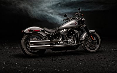 En 2020, la Harley-Davidson Softail Slim classique &#224; flotteur, &#224; l&#39;ext&#233;rieur, nouvelle moto, nouveau gris Softail Slim, american motos, Harley-Davidson