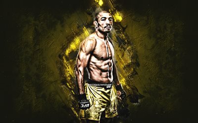 Jos&#233; Aldo, UFC, luchador brasile&#241;o, MMA, retrato, fondo de piedra amarilla