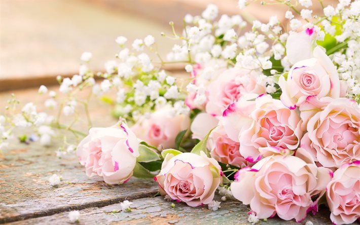 باقة رومانسية, الوردي الورود, باقة جميلة, الورود