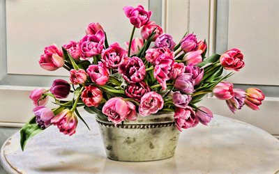 vaso de tulipas, primavera, buqu&#234; de tulipas, flores cor de rosa, tulipas cor-de-rosa, HRD, tulipas