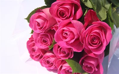 rosas cor-de-rosa, rose bouquet, lindas flores, rosas, floral de fundo