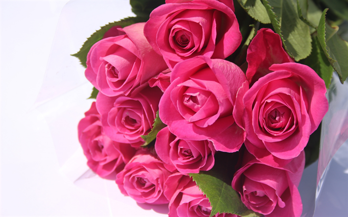 ダウンロード画像 ピンク色のバラ バラのお花のブーケ 美しい花 バラ 花背景 フリー のピクチャを無料デスクトップの壁紙