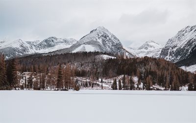 winter, landschaft, berg, schnee, wald, felsen