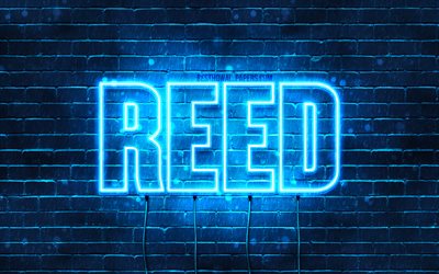 Reed, 4k, taustakuvia nimet, vaakasuuntainen teksti, Reed nimi, blue neon valot, kuvan Reed nimi