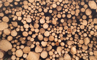 brennholz texturen, 4k -, makro -, h&#246;lzernes, hintergr&#252;nde, holz texturen, brennholz, stammholz texturen, holz-protokolle